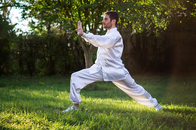 Taiji Quan. Tai Chi Chuan
